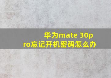 华为mate 30pro忘记开机密码怎么办